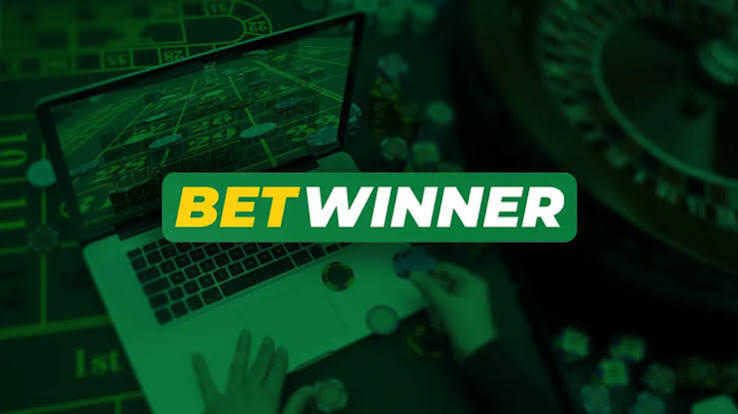 Explore the BetWinner Gambling Platform A Comprehensive Guide